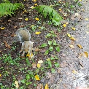 Meet your Posher, Thomas